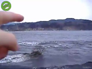 a certain japanese filmed the tsunami on camera, as they say, at the risk of life