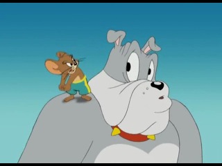 tom and jerry: in the doghouse (cartoon, 2012)